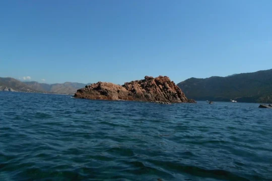 Calvi